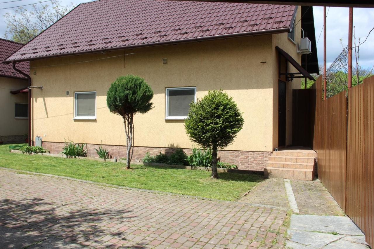 Роман Beregszász Kültér fotó